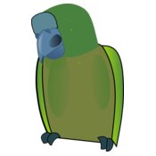 martinix bird2